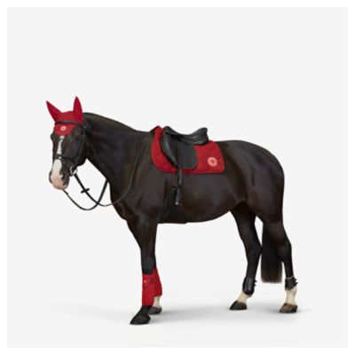 Equestrian Horse | Hermes