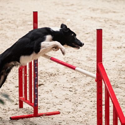 Le Saut Hermès 2022 investit le Grand Palais éphémère