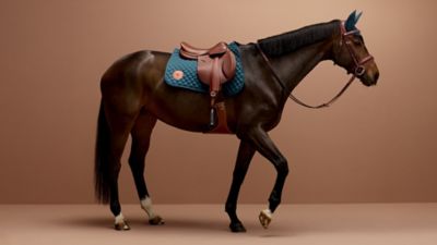 エルメスの公式オンラインストア | Hermès - エルメス-公式サイト