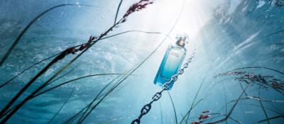 The official Hermes online store | Hermès USA