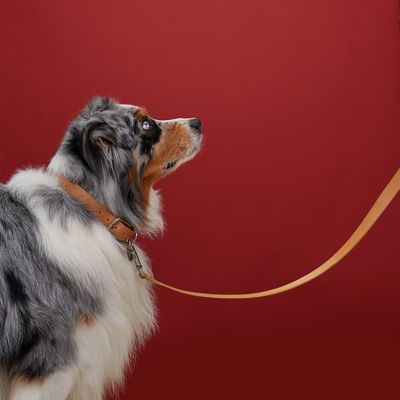 ホーム・アウトドア・乗馬 | Hermès - エルメス-公式サイト