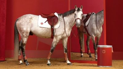 HERMES, Parigi Sella da cavallo in pelle di cammello. Fi…