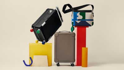 Hermes suitcase sale