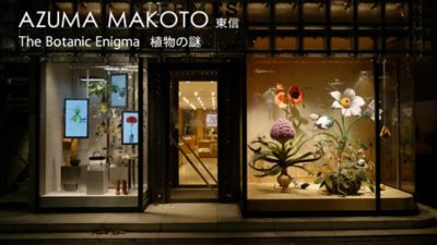 HERMES - サボテン 旅の途中」| エルメス - Hermes | Hermès - エルメス-公式サイト
