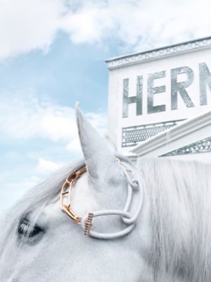 HERMES FOR THE HOLIDAYS