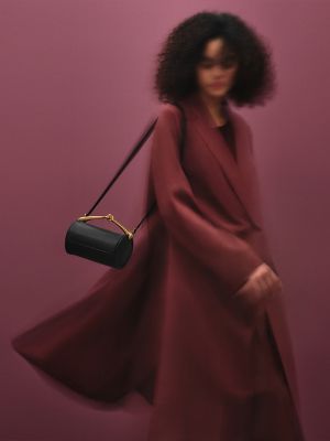 【大人気◎】HERMES エルメス Maximors II バッグ Maximors II bag | Hermès Mainland China