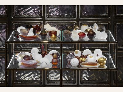 転移のすがた」アーティスト・レジデンシ―10周年記念展 “Formes du