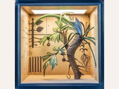 植物の謎」| エルメス - Hermes | Hermès - エルメス-公式サイト