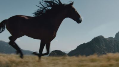 Barenia 香水コレクション | Hermès - エルメス-公式サイト