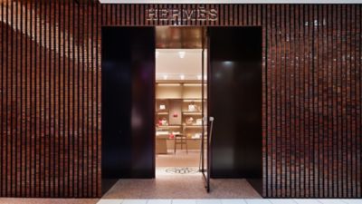 Hermes violet fonce｜TikTok Search