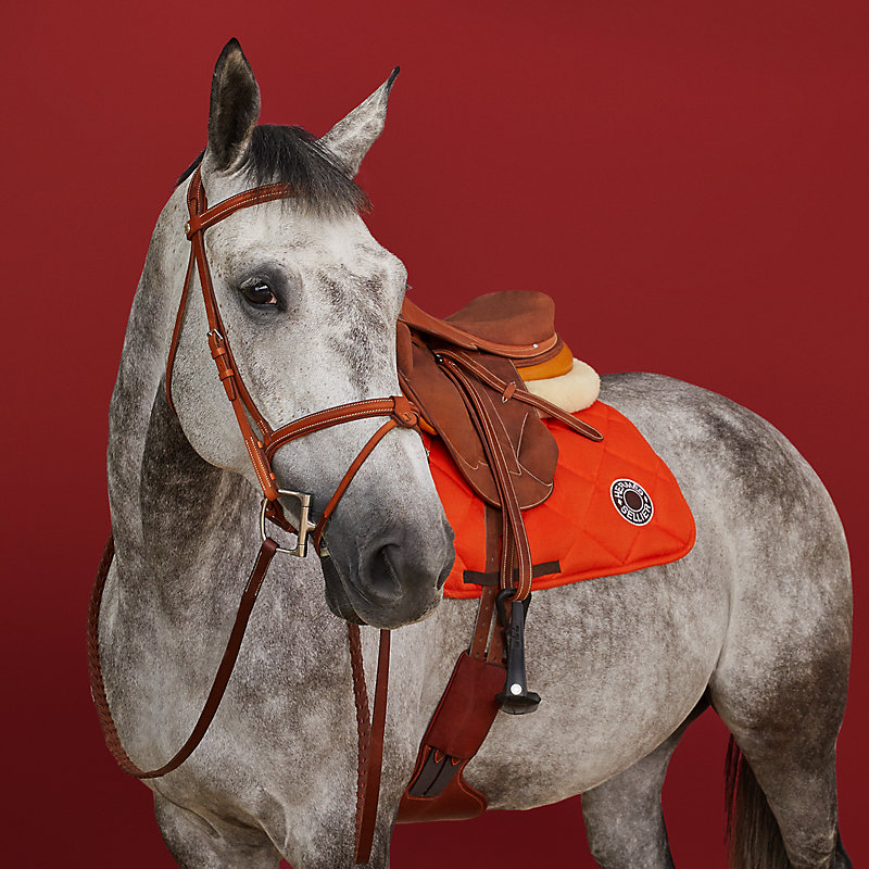 フランス鼻革 エルゴノミック頭絡 | Hermès - エルメス-公式サイト 