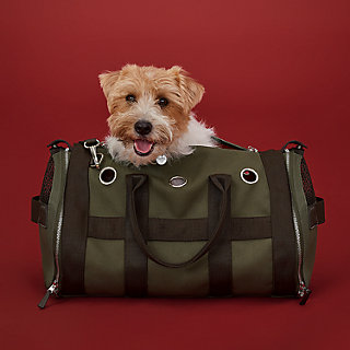 エルメス エブリン サックシアン ボストンバッグ ドッグキャリー （犬 