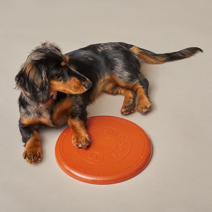 犬用フリスビー-《ウフ》-- 