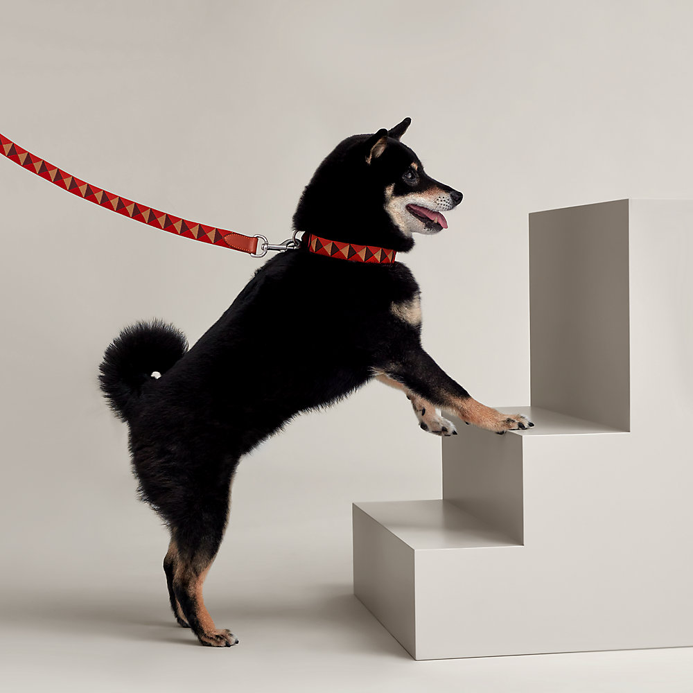 HERMES レザー ブルー 犬用リード BREIZH ドッグ レザーリード 