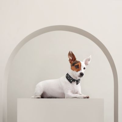 犬用ボウル サイズ M | Hermès - エルメス-公式サイト