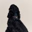 Bandana pour chien Maillons M, navy