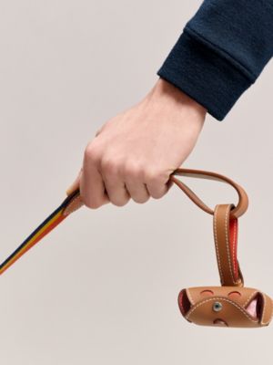 Poopy pouch for waste bags