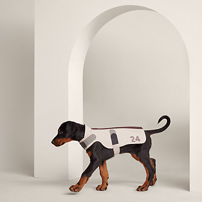 Hermès Dog Collars and Accessories | Hermès USA Hermès Dog Collars and Accessories | Hermès USA