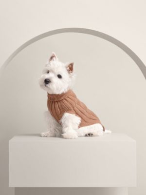 Dog pullover, View: front, front, view 2 of 3