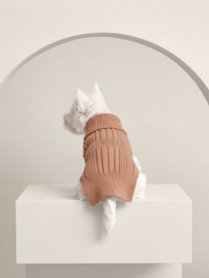 Dog pullover, View: front, front, view 3 of 3