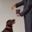 On-the-go dog pouch, navy