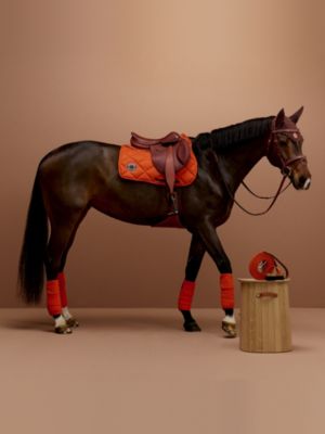 Fly bonnet II, View: front, front, view 2 of 2