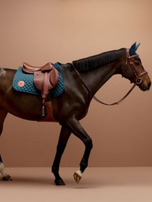 Fly bonnet II, View: front, front, view 4 of 4