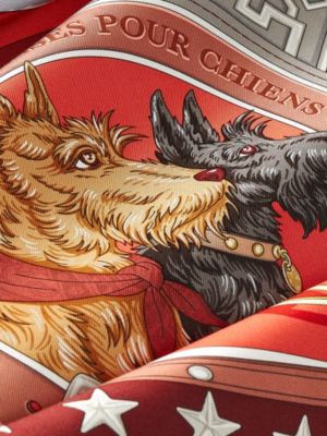 Lenço 90 Colliers et Laisses pour Chiens, Exibir: Detalhes, detail, visualizar 4 de 4