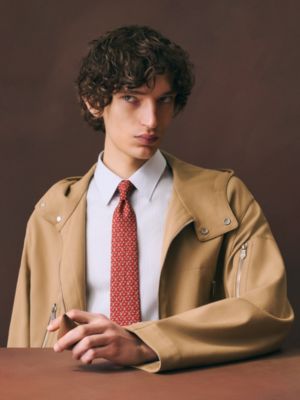 シルクツイルタイ ツイルビー 7&nbsp;cm 《頂上の休息》, イメージ: 着用例, worn, ビュー2の2
