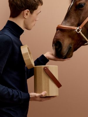 馬匹零食置物盒，大型, 檢視: 佩戴, worn, 檢視共3張圖片的第7張