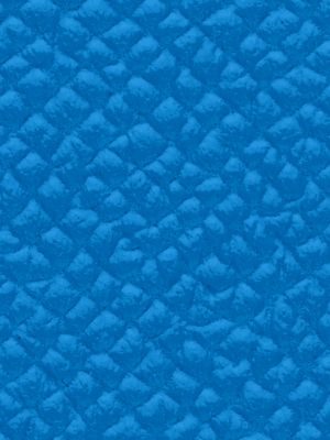 bleu hydra