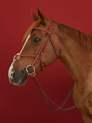 Ergonomic Figure&nbsp;8 Jumper bridle