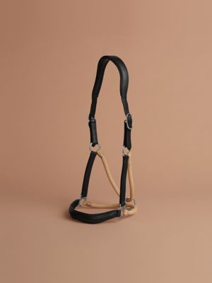 Ergonomic strap