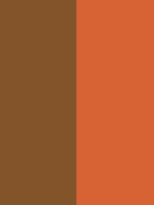 orange/gold