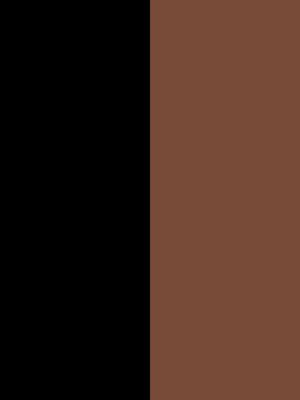 noir/fauve