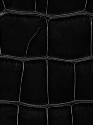 noir