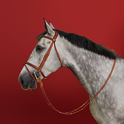 乗馬 馬 | エルメス | Hermès - エルメス-公式サイト 乗馬 馬 | エルメス | Hermès - エルメス-公式サイト
