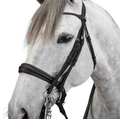 HERMES 馬具 馬用ソフトブラシ HERMES(エルメス) その他