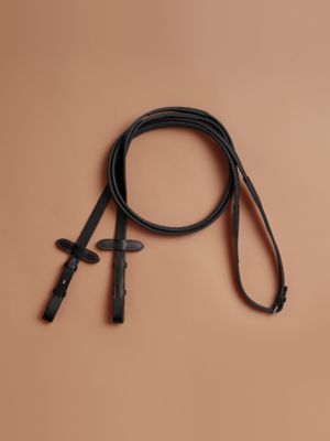 Reins