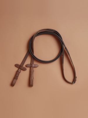 Reins