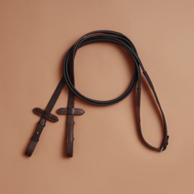 Reins