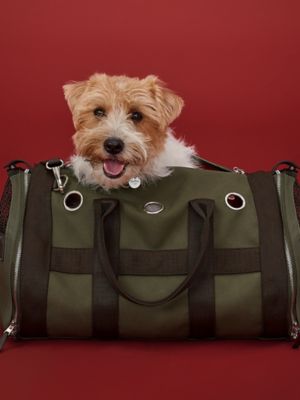 Carrying bag for dogs, View: front, front, view 6 of 6