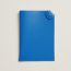 Tarmac passport holder, bleu hydra