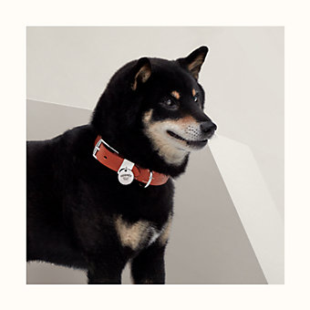 犬用リード 《ロカバール》 スリム | Hermès - エルメス-公式サイト