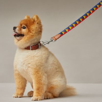 Medor slim dog leash | Hermès Netherlands
