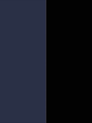 navy/noir