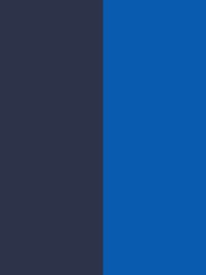 bleu navy/bleu hydra
