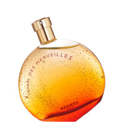 HERMES EAU DES MERVEILLES 100ml【新品未使用】 Amazon.com : Hermes Eau De Merveilles Eau de Toilette for