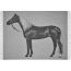 Cheval Palomino blanket, graphite