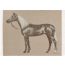Cheval Palomino blanket, naturel